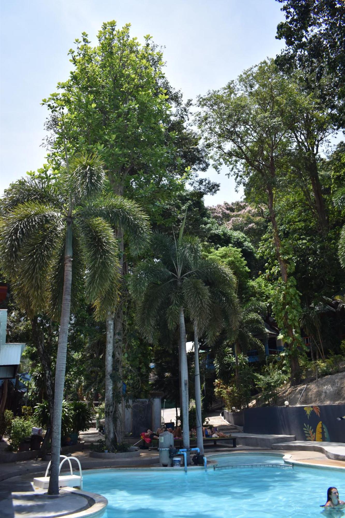 Blanco Hideout Railay - Youth Hostel 18 To 35 Only Экстерьер фото